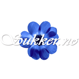 Sukker.no